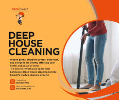 Make Your Space Shine with Professional House Cleaning 1 image 5
